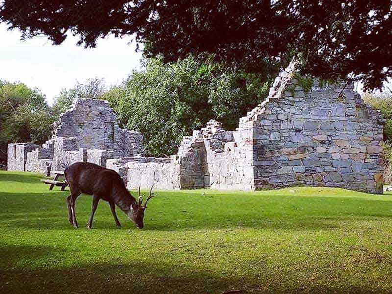 Killarney History & Wildlife