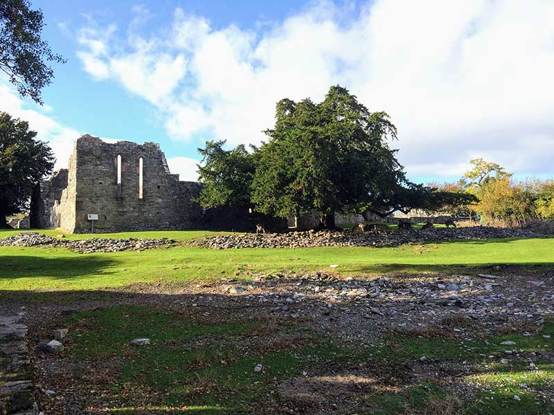 Innisfallen island Monastic site, Killarney